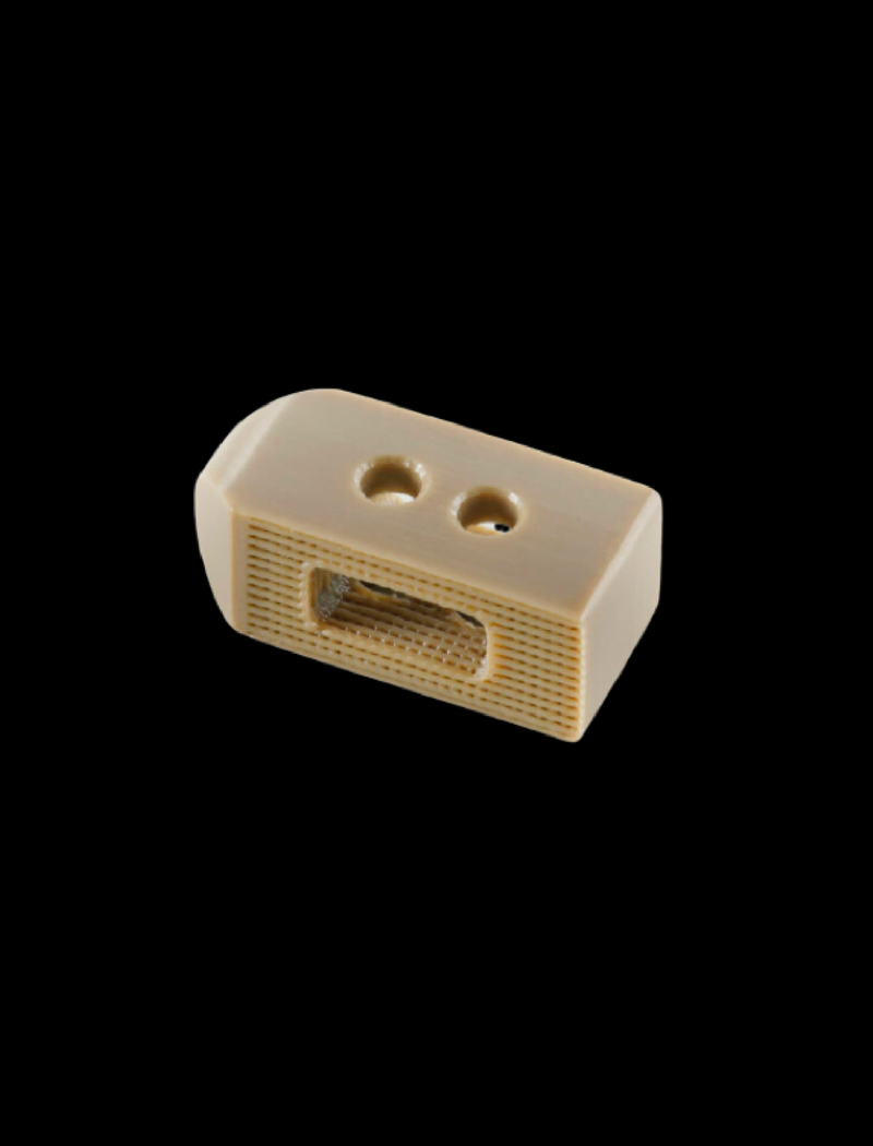 spinal_cage2